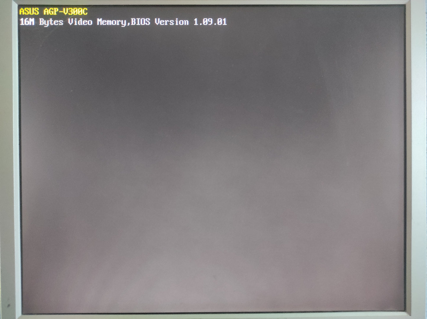 ASUS AGP-V300C SiS-305 16MB AGP VGA Vintage Retro Graphics Card