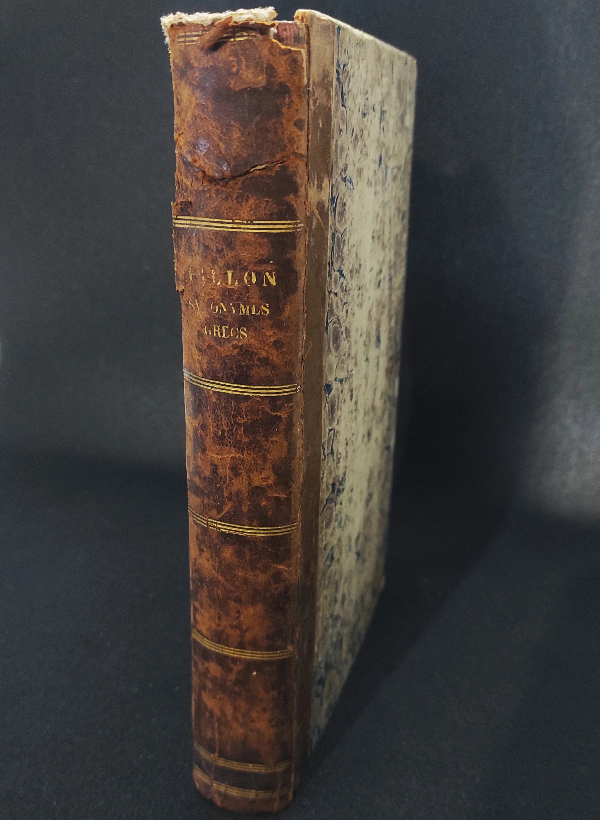 Synonymes grecs 1847 par M. Alex. Pillon Maire-Nyon Rare Antique Book